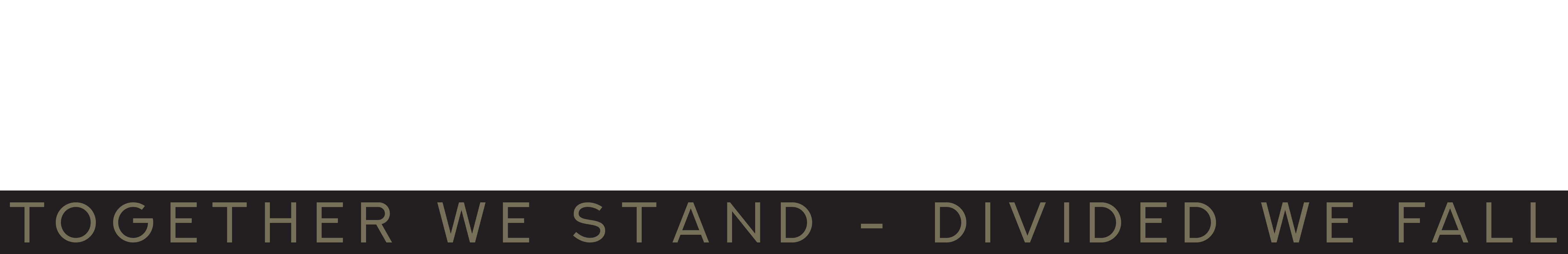 Army Ops Logo